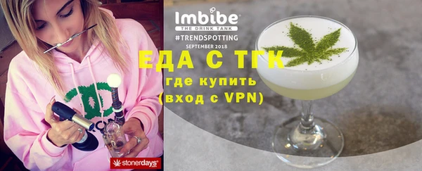 индика Алексин