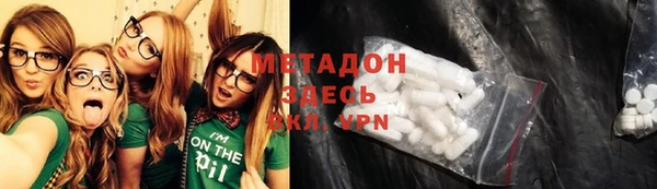 индика Алексин