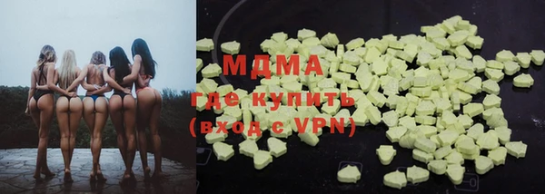 индика Алексин