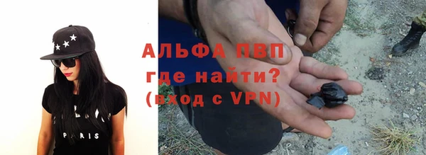 индика Алексин