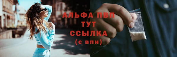 индика Алексин