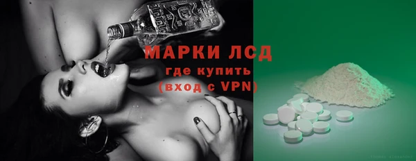 индика Алексин