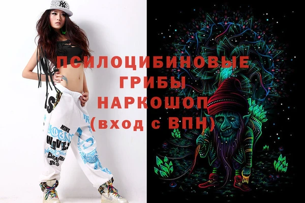 ешки Алзамай