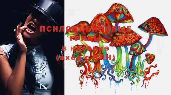 ешки Алзамай