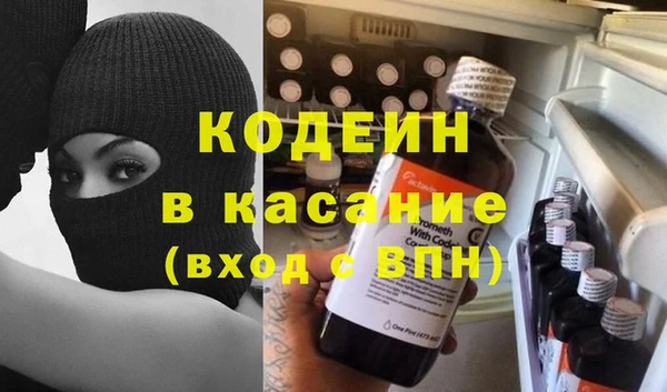 индика Алексин