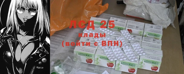 индика Алексин