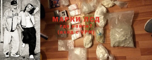 индика Алексин