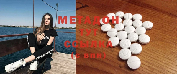 индика Алексин