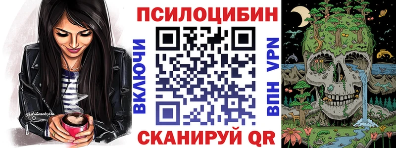 ссылка на мегу зеркало  Махачкала  Псилоцибиновые грибы прущие грибы  где найти  
