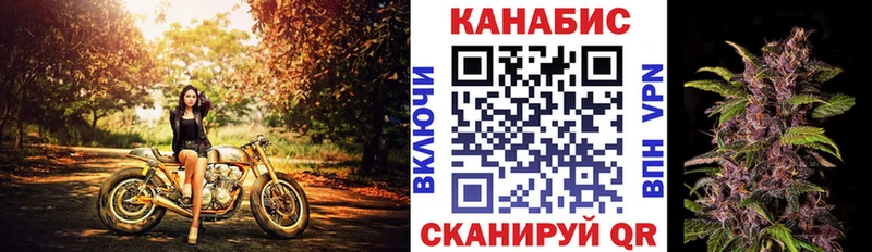 Конопля Amnesia  Махачкала 